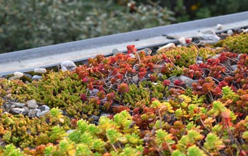 the cost of Bramham green roof installation