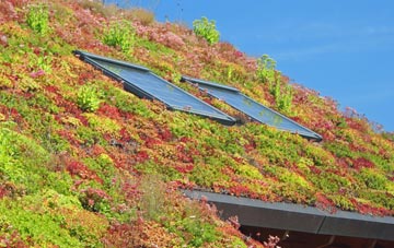 Bramham living roof systems