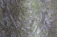 Bramham fibreglass roof work